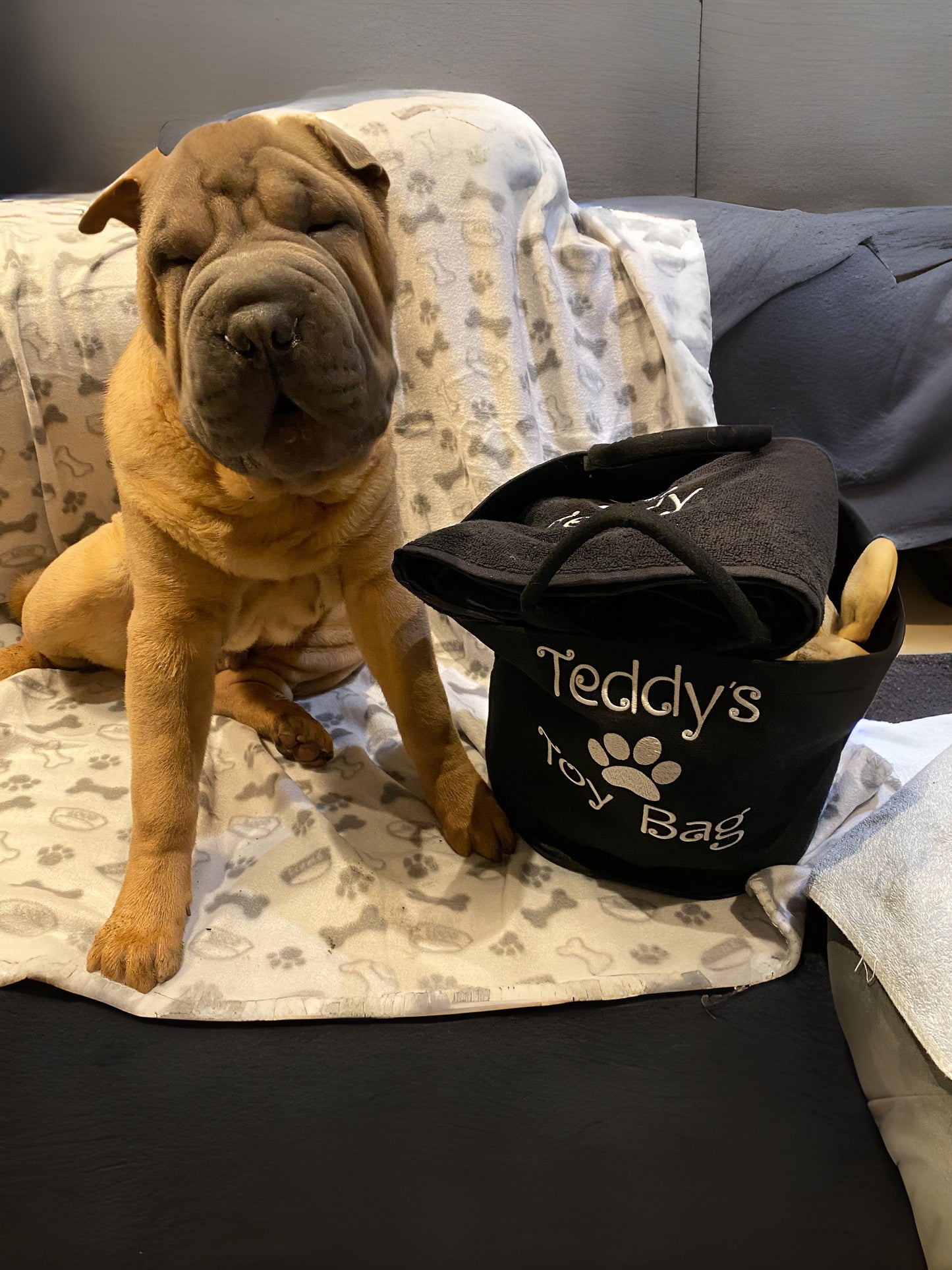 Personalised Dog Pet Toy trug Bag