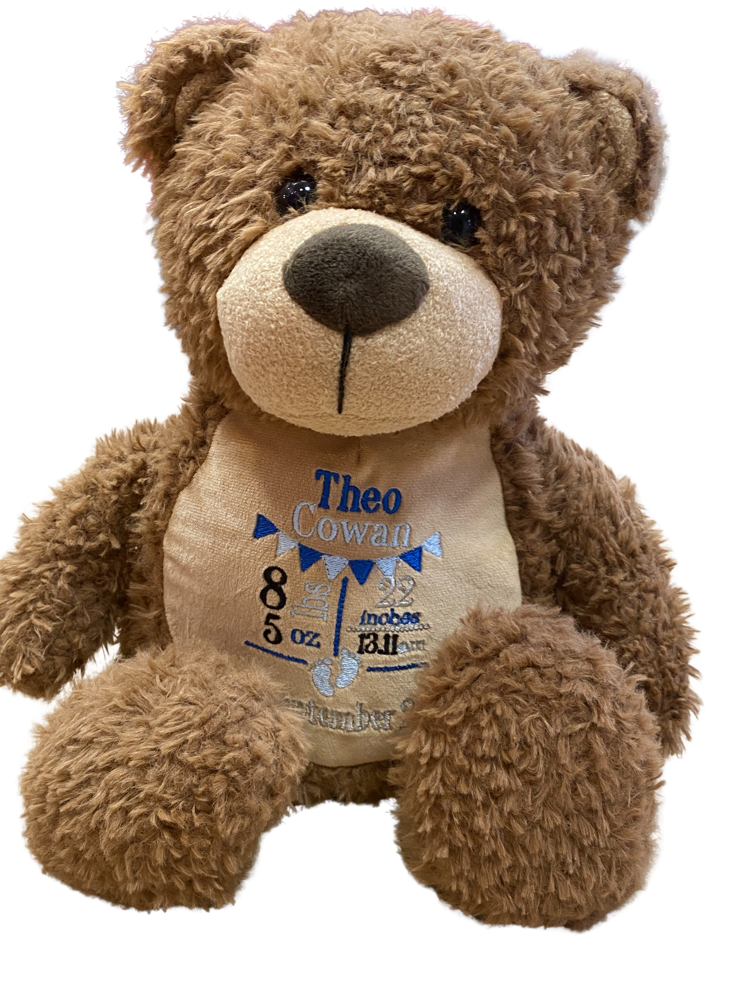 Personalised Dinosaur Birthday Teddy Bear